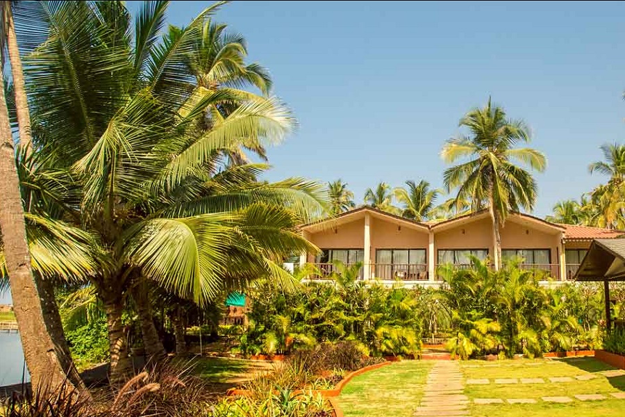 Experience Coastal Bliss at Riva Beach Resort, Mandrem Beach, North Goa